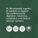 Standard Process B6-Niacinamide Supplement - Energy Metabolism, Heart Health & Digestion Support - Vitamin B6, Niacin, Ascorbic Acid, Reishi & Shiitake Mushroom - 90 Tablets - Buy Online on GoSupps.com