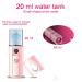 Nano Facial Steamer - USB Rechargeable Mini Beauty Device for Eyelash Extensions, Pore Cleaning & Hydration (Pink) - Buy Online on GoSupps.com