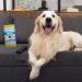 Gonzo Pet Hair Lifter - Remove Dog & Cat Hair from Furniture, Carpet & Clothing - Buy Online on GoSupps.com