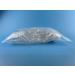 Gzcaiyun 50 Pcs Portable 20ml Plump Plastic Bottles with Screw Caps & Stickers for Cosmetics Travel & Camping - Buy Online on GoSupps.com