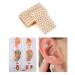 600Pcs Graine D'oreille D'acupuncture Vaccaria Graines D'oreille Oreille Presse Graines Acupuncture Points Acupuncture Graines Magn tiques Th rapies Auriculaire Kiuiom