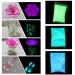 Fluorescent Powder 3x100g - Non-Toxic Luminescent Pigment for Neon Lights & Dark Effects - Professional Phosphorescent Color - Buy Online on GoSupps.com
