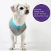 Cyeollo 2 Pack Fleece Dog Sweater Vest with Reflective Stripe - Teal & Grey - For Small, Medium, Large Dogs - Buy Online on GoSupps.com