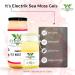 Wildcrafted Golden Sea Moss Gel - 100% Natural, Gluten-Free, Vegan & Non-GMO - 8oz - Buy Online on GoSupps.com
