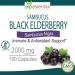 ELP ESSENTIAL Black Elderberry Capsules 2000mg | 100 Count | Super Concentrated Sambucus Extract Antioxidant and Immune 100 Count (Pack of 1) - Buy Online on GoSupps.com