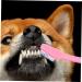 FRCOLOR 12pcs Teeth Supplies Cat Multi-function for Cats Dogs Tooth Small Double Household Handle - Buy Online on GoSupps.com