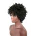 Jier Natural Black Short Kinky Curly Afro Wig for Black Women | Synthetic Afro Wigs - One Size - Buy Online on GoSupps.com