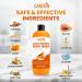 Kojic Acid Soap for Hyperpigmentation Skin Brightening Kojic Papaya Body Wash Dark Spot Soap Reduces Acne Scars and Evens Skin Tone Turmeric Body Wash for Brighter Glowing Face - Buy Online on GoSupps.com