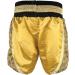 Revgear Women's Apsara Thai Shorts - Gold, X-Large - Buy Online on GoSupps.com