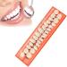 GDZTBS Resin False Teeth - 28pcs Synthetic Fake Teeth Model | Durable Temporary Dentures for International Shipping - Buy Online on GoSupps.com