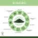 Spiruline Bio - 65% Prot ines 14% BCAA 17% Phycocyanine Fer - Energie Sport Immunit - 100% Pure en Poudre - Bioptimal Marque Fran aise -Conditionn en France - Certifi Ecocert - 100 g 100 g (Lot de 1) - Buy Online on GoSupps.com