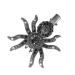 FRCOLOR Spider Hairpin Rhinestone Bobby Pins Hair Barrettes Hair Clip Spider Web Hairpins Hair Rhinestone Spider Clips for Hair Rhinestone Spider Barrette Halloween Spider Hair Accessory