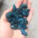 EWYOTUAL natural luster 100g Natural raw Blue Apatite Rough and Gem s - Buy Online on GoSupps.com