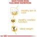 Royal Canin - 35251 - Golden Retriever Food - 12 kg - Buy Online on GoSupps.com