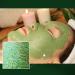 Real Spirulina Pore Perfect Mask 100g | Best Clay Face Mask for Skincare Detox & Pore Minimizing | Korean Skincare & Green Tea Infused - Buy Online on GoSupps.com