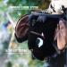 BG Climbing Bat Chalk Bag - Cool Animal Edition for Rock Climbing | International Shipping Available - Buy Online on GoSupps.com