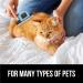 Deshedding Tool & Grooming Brush for Dogs Cats & Horses | Best for All Coat Types - Small to Large - Buy Online on GoSupps.com