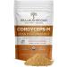 Real Mushrooms Hot Chocolate Mix (15 Servings) and Cordyceps (60 Servings) Powder Bundle - Mushroom Powder Supplement for Energy Stamina & Daily Immune Support - Gluten-Free Non-GMO Vegan - Buy Online on GoSupps.com
