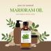 GreenHealth Marjoram Essential Oil 4 fl oz (118 ml) Glass Bottle w/Cap 100% Pure - Buy Online on GoSupps.com