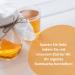 KombuChic: Kombucha SCOBY Starter Set | Tea Fungus Recipes & Free eBook for Perfect Brew - Buy Online on GoSupps.com
