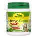CDVet arthrogreen plus 75g - natural and effective nutritional supplement to support the joints for dogs and for cats through vitamins and minerals 75 g (1 Pack) single