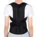 Back Brace Posture Corrector Adjustable Back Shoulder Lumbar Waist Support Belt for Men and Women Improve Posture Prevent Slouching Pain Relief (L 31"-42") L ( waist 31"-42")