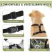 Slowton Dog Harness with Seat Belt for Car - breathable Latex Network Fabric | Regular Safety Harness for Everyday Sports | Camouflage Design (Size S) - Buy Online on GoSupps.com