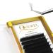 Quewel Self-fan eyelids L curl Volume eyelashes for eyelash extension 0.05 Strength Mix 8-15mm Easy lashes eyelashes Extensions L Curl Volume technology Auto Fanning (0.05 l-mix8-15) 0.05-l Curl-mix-8-15mm