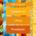 Glade Scented Candle Coastal Sunshine Citrus Air Freshener Infused with Essential Oils 1-Wick Candle 1 Count - Buy Online on GoSupps.com