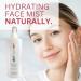 Buy Beauticontrol Skinlogics Herbal Hydrating Mist 6.7oz - Moisturizing Facial Spray for All Skin Types | International Shipping Available - Buy Online on GoSupps.com