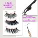 MRS GWEN 3D Magnetic Faux Mink Eyelashes Set with Black Eyeliner & Applicator Tool - Natural & Dramatic Reusable Fake Lashes - No Glue - Shop Internationally - Buy Online on GoSupps.com