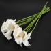 Buy PHTOIT Calla Lily 10 Head Latex Real Touch KC51 White - Premium Quality Artificial Flowers for International Shipping - Buy Online on GoSupps.com