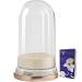Cosmetic Brush Cleaner Makeup Brush Cleaner 5.1x9.1 inch 3 in 1 Cosmetic Brush Cleaner with Drying Holder Makeup Brush Cleaning Mat Portable Dustproof Makeup Brush Holder for Sponge