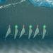 JSHANMEI Glow in Dark Fish Skin Fishing Rigs - 15 Pack Luminous Bait Rigs with Swivel Hooks for Freshwater and Saltwater Fishing (#4 #6 #8) - Buy Online on GoSupps.com