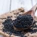 SoleilFOOD 5 kg black beluga lentils legumes protein source finest quality