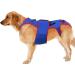 Dog Hip Support Brace Dogs Back Brace Helps Small Dogs - D-Ring and Reflective Strips Pet Back Bracer for IVDD Dogs Back Prevention Recovery and Rehabilitation - Buy Online on GoSupps.com