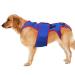 Dog Back Brace Pet Back Bracer for IVDD - D-Ring and Reflective Strips Pet Back Bracer for IVDD Dogs Back Prevention Recovery and Rehabilitation M