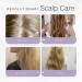 Citrus Cider Whip Hair Plaster | Vitamin C Hair Treatment | Revitalize Damaged Hair with Fruit Butters & Oils - Buy Online on GoSupps.com