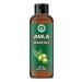 Amla Hair Oil/ Amalaki Hair Oil (8 Fl Oz / 237 Ml) Indian Gooseberry Hair oil I Richness in nutrients of Vitamins C I Grate for Dandruff Hair I Controls premature greying of hair I Give Black Shiny and Lustrous Hair