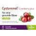 Cystorenal Cranberry Plus Granulate - 100% Vegan Bladder Support with Cranberry & Pumpkin Extracts | 20 Bags (1 Pack) - Buy Online on GoSupps.com