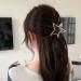 Satr Metal Hair Clips - Nonslip Hair Accessories for Thin & Thick Hair | Silver Hair Jaw Clamps & Hairpins - Buy Online on GoSupps.com