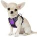 Eagloo dog harness Small dogs anti -train dog harness with reflex strips and control adjustable adjustable and durable breast harness dog suitable for walking and jogging purple XS XS (1 Pack) purple