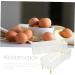 Generic Box Plastic Stand Egg Trays for Deviled Eggs Household Organizer for Refrigerator Carton re-usable Transparent 26.5X16X10CM - Buy Online on GoSupps.com