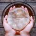Organic Kombucha SCOBY (5L) - Get Your Home Brewing Started Today! - Buy Online on GoSupps.com