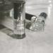Essential Faith Bliss Perfume Oil Roll On - Long Lasting Tropical Coconut & Floral Fragrance for Face & Body - 0.16 oz Aromatherapy Essential Oil - Buy Online on GoSupps.com