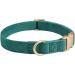 YUDOTE Ultra-Soft Dog Collar for Medium Dogs with Sensitive Skin - Natural Cotton Cord Green M (1 Pack) - Perfect Comfort for Your Pet - Buy Online on GoSupps.com