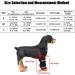 Dog Knee Brace Adjustable Dog Front Leg Brace with Metal Spring Support and Reflective Strap Dog Leg Support for Surgery Recovery Front Leg Injury|Black (S) - Buy Online on GoSupps.com