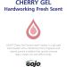 GOJO Cherry Gel Pumice Hand Cleaner Cherry Scent 10 Oz Bottle Cherry 1 Count (Pack of 1) - Buy Online on GoSupps.com