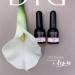 Didier Lab Premium Milky Pink Builder Gel 10ml - Nail Strengthener & Extension in a Bottle - LED UV Builder Gel for Nail Repair & Hardening - Ideal with Nail Forms - Buy Online on GoSupps.com