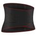 Hemoteq back support belt lumbar support with 4 support plates self-heating magnetic therapy waist warmers Belt for men women father mother gifts (size: l/large)
